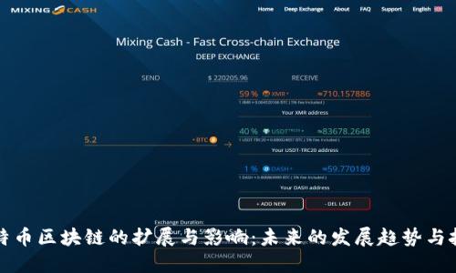 比特币区块链的扩展与影响：未来的发展趋势与挑战