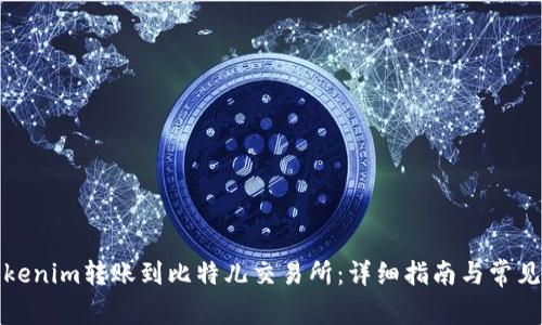 如何将Tokenim转账到比特儿交易所：详细指南与常见问题解答