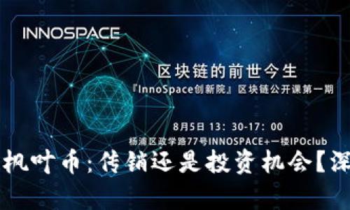 区块链枫叶币：传销还是投资机会？深入解析