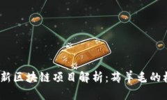 2023年最新区块链项目解析：薅羊毛的机会与风险