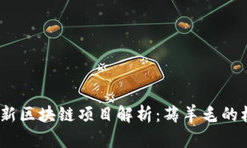 2023年最新区块链项目解析：薅羊毛的机会与风险