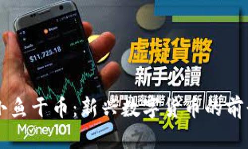 区块链小鱼干币：新兴数字货币的前景与应用