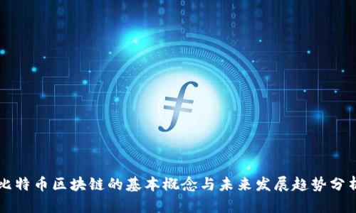 比特币区块链的基本概念与未来发展趋势分析