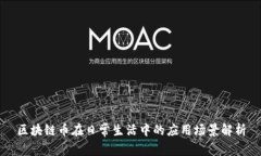 区块链币在日常生活中的应用场景解析