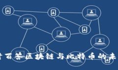 深入探讨百答区块链与比特币的未来与应用