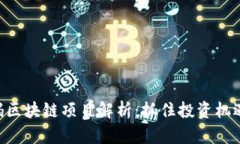 2023最新版首码区块链项目解析：抓住投资机遇，
