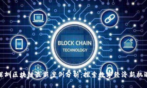 深圳区块链最新案例分析：探索数字经济新机遇