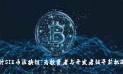 深入探讨SIE币区块链：为投资者与开发者铺平新
