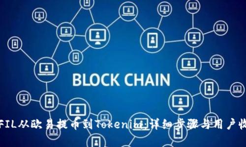 如何将FIL从欧易提币到Tokenim：详细步骤与用户收益解析