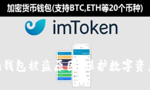 揭秘Tokenim钱包被盗原因，保护数字资产的实用策略