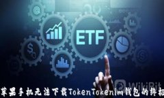 解决苹果手机无法下载T