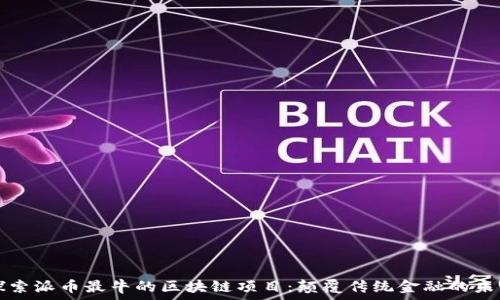   
探索派币最牛的区块链项目：颠覆传统金融的未来
