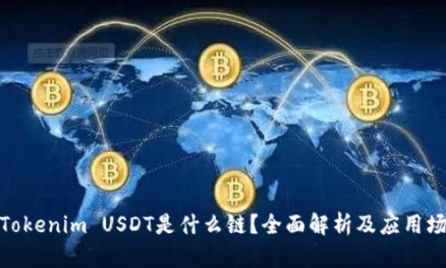 : Tokenim USDT是什么链？全面解析及应用场景
