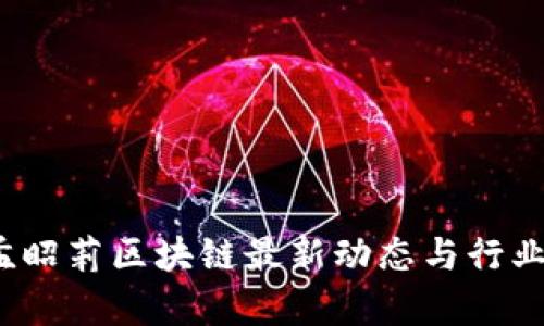 2023年孟昭莉区块链最新动态与行业趋势分析