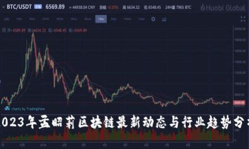 2023年孟昭莉区块链最新动态与行业趋势分析