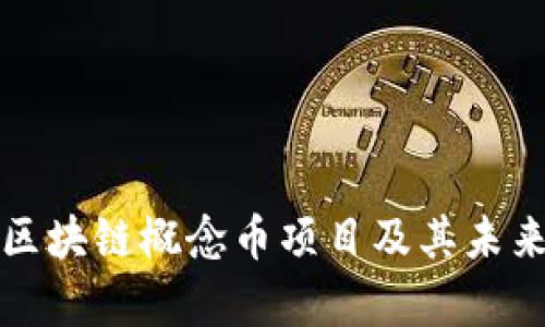 深入解析区块链概念币项目及其未来发展趋势
