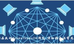 如何找回丢失的TokenTokenIM钱包：详细指南与常见