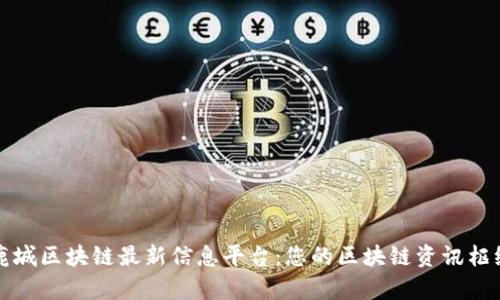 鹿城区块链最新信息平台：您的区块链资讯枢纽