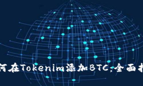 如何在Tokenim添加BTC：全面指南