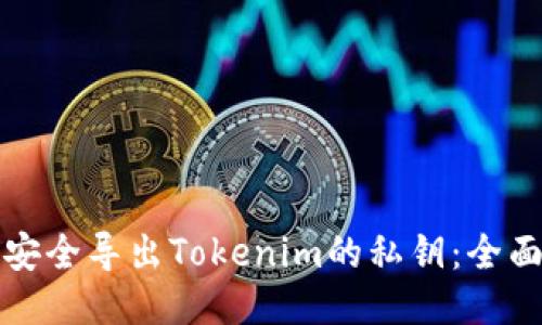 如何安全导出Tokenim的私钥：全面指南