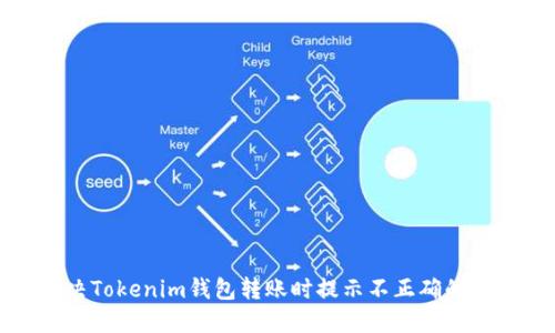 如何解决Tokenim钱包转账时提示不正确的地址问题