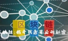 懂币区块链：揭开钱鑫背后的秘密与机遇