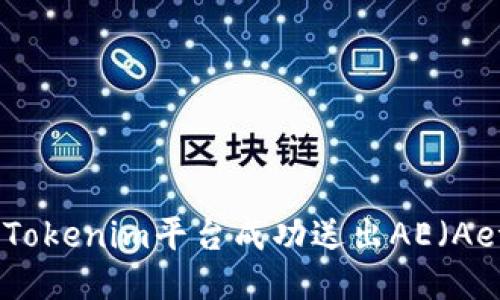 如何使用Tokenim平台成功送出AE（Aeternity）