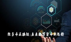 维多币区块链：未来数字货币新选择