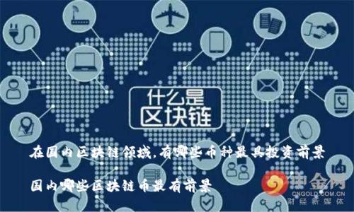 在国内区块链领域，有哪些币种最具投资前景

国内哪些区块链币最有前景