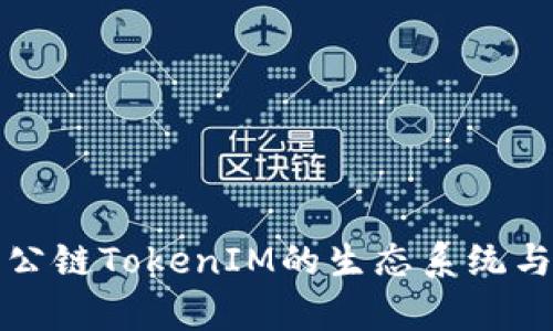 深入剖析公链TokenIM的生态系统与应用前景