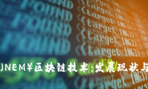 柬埔寨币（NEM）区块链技术：发展现状与未来前景