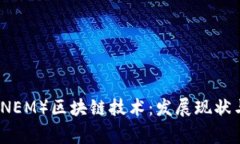 柬埔寨币（NEM）区块链技术：发展现状与未来前
