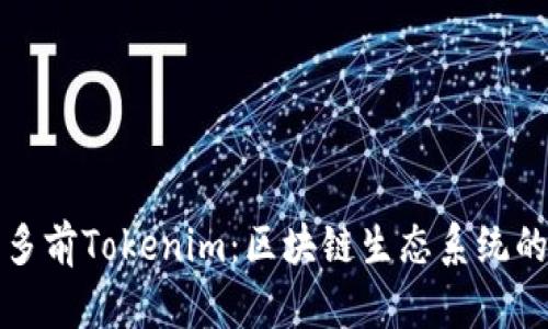深入了解多前Tokenim：区块链生态系统的创新引擎