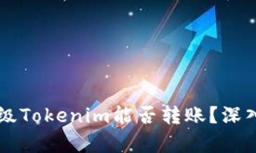不升级Tokenim能否转账？深入解析