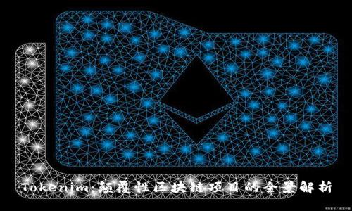 Tokenim：颠覆性区块链项目的全景解析