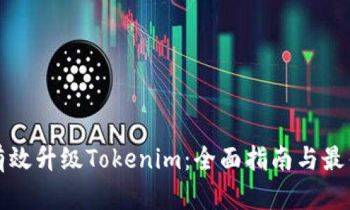 如何有效升级Tokenim：全面指南与最佳实践